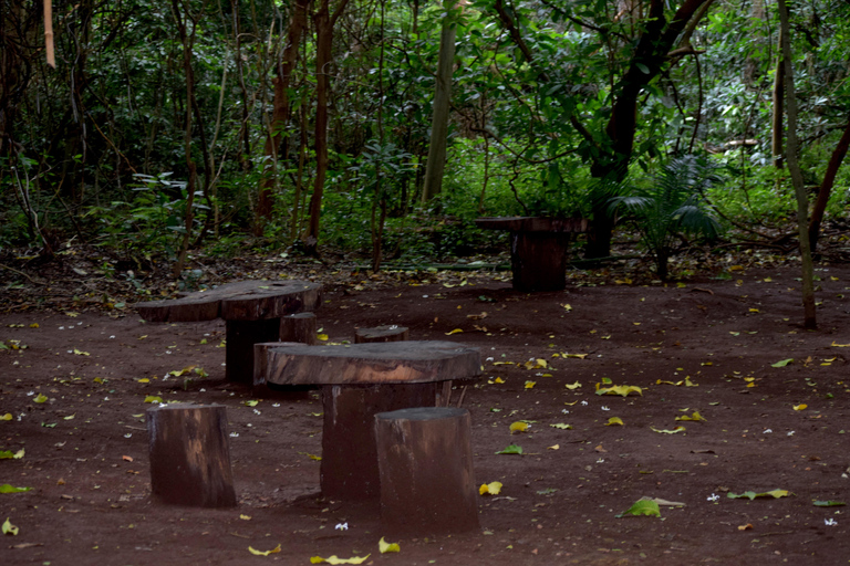 Moshi: Rau-Wald (Wanderung oder Radtour)Wandern im Rau-Wald