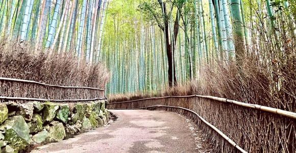 Kyoto: Arashiyama Bamboo Forest and Garden Views Tour