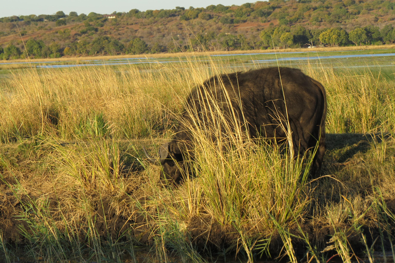 Zimbabwe: 7-Day Victoria Falls, Hwange & Matobo Tour