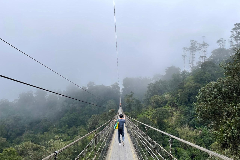 Jakarta : Volcano, Suspension Bridge and Hot Spring