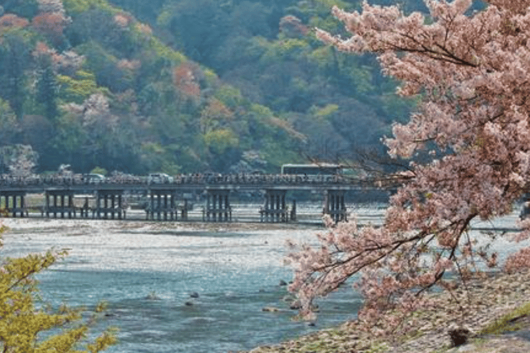 Kyoto: Arashiyama Unveiled – Bamboo, Temple, Matcha, Monkeys Kyoto: Arashiyama Unveiled Bamboo, Temple, Matcha, & Monkeys