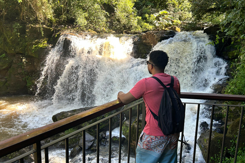 Essence of Iguazú: Full-Day Tour of Iguazú Falls (Brazil Side) and São João Trail Essence of Iguaçu: Full Day at Iguaçu Falls, Brazil, and São João Trail