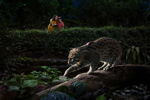 Singapura: Safari Noturno em Singapura c/ Elétrico
