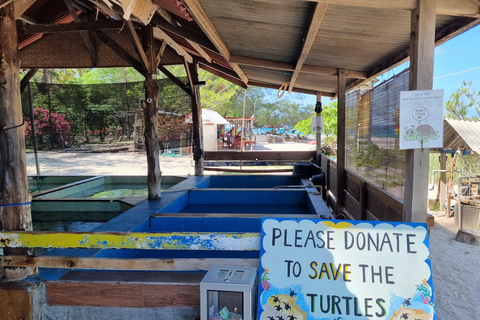 Mergulho com snorkel nas Ilhas Gili: Gili Trawangan, Meno e AirInício na área de Lombok