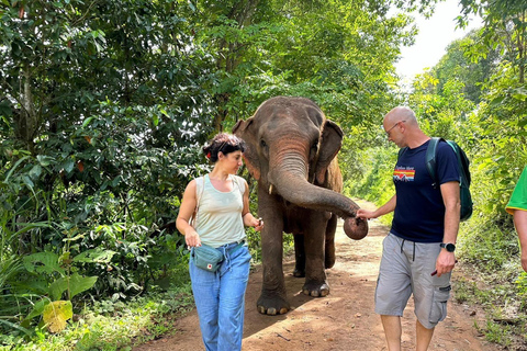 Chiang Mai: Sanktuarium słoni, wodospad i raftingOdbiór z hotelu