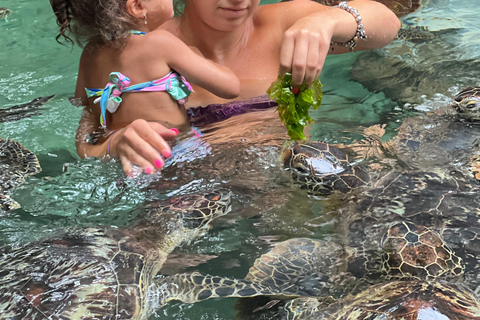 Mnemba eiland &amp; zwemmen met schildpadden, in nungwi