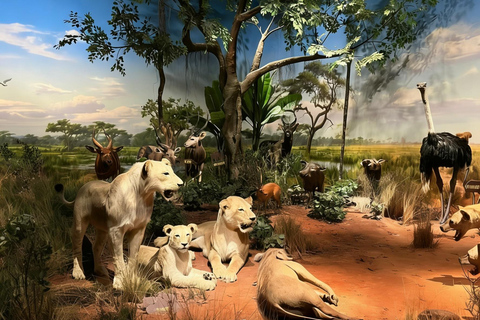 Beijing: National Museum of China Private Guided Tour Portuguese private tour