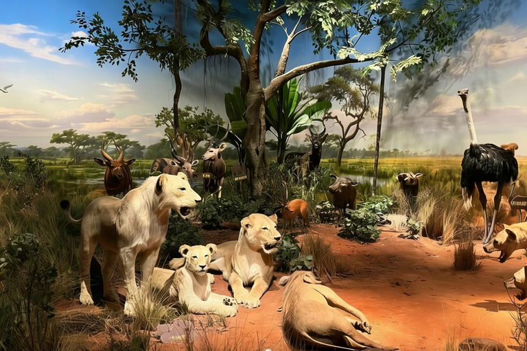 Beijing: National Museum of China Private Guided Tour Portuguese private tour