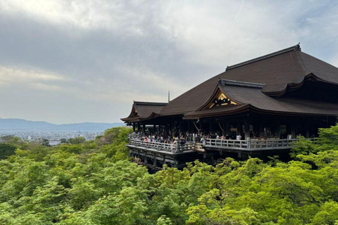 Kyoto Customisable Private Tour with a Local Guide