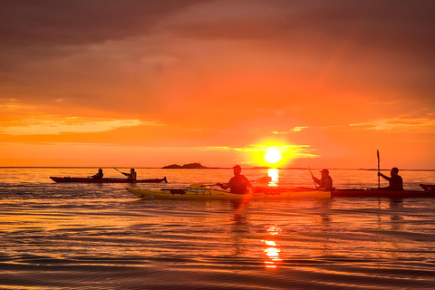 إيجوم: جولة جزر لوفوتن منتصف الليل صن كاياك