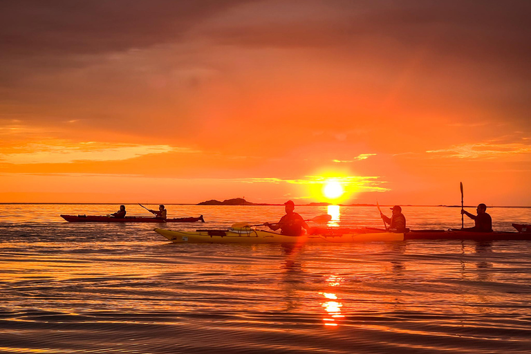 إيجوم: جولة جزر لوفوتن منتصف الليل صن كاياك