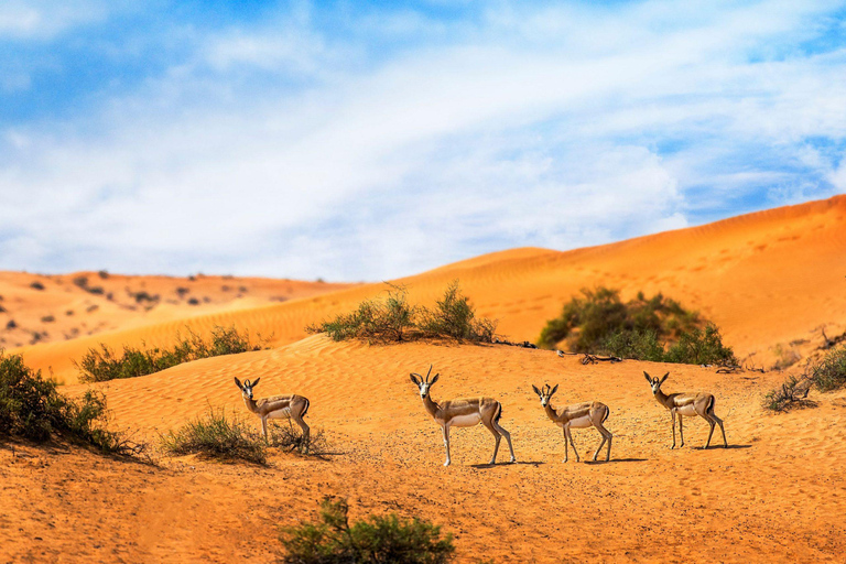 Dubaï : Montgolfière au lever du soleil sur les dunes d'ArabieDubaï : Vol en montgolfière au lever du soleil au-dessus des dunes d'Arabie