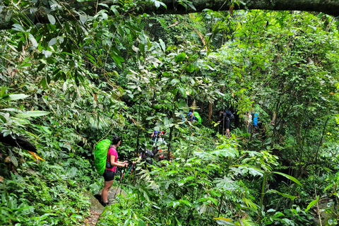 JUATINGA: Excursión de 4 días SELVA ATLÁNTICA y PLAYAS - PARATY - RIO DE JANEIRO