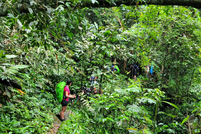 JUATINGA : Circuit de 4 jours FORÊT ATLANTIQUE et PLAGES - PARATY - RIO DE JANEIRO