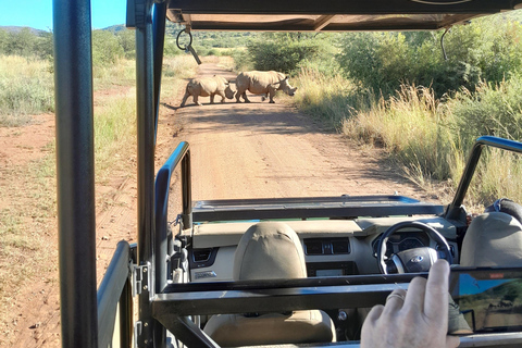 Joanesburgo: Passeio de carro de 3 horas pelo Parque Nacional Pilanesberg