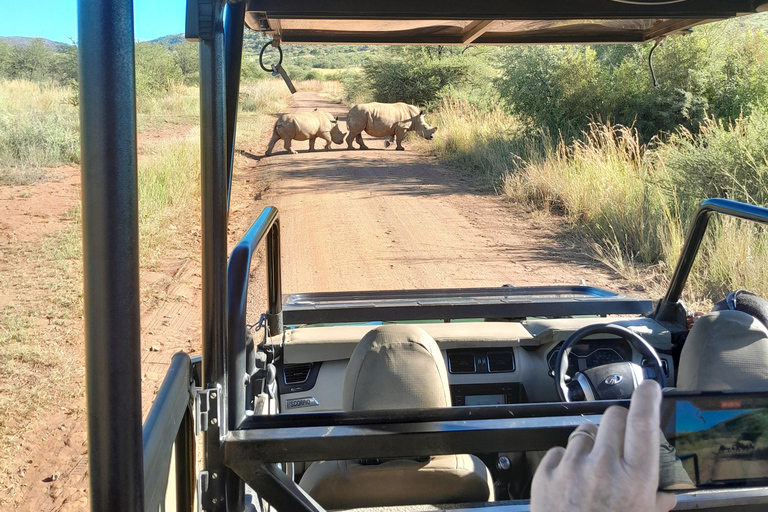 Johannesburg : 3 heures de safari dans le parc national de Pilanesberg