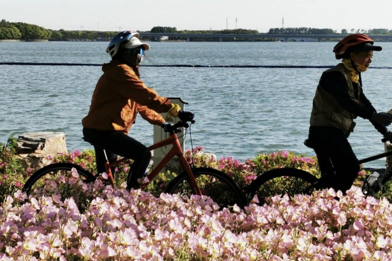 Shanghai: Zhujiajiao Water Town & Yuandang Lake Cycling Trip