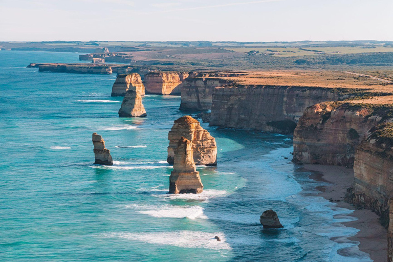 Melbourne ： Magiczna, odwrócona wycieczka całodniowa Great Ocean RoadPrywatna grupa (1-11 pasażerów)