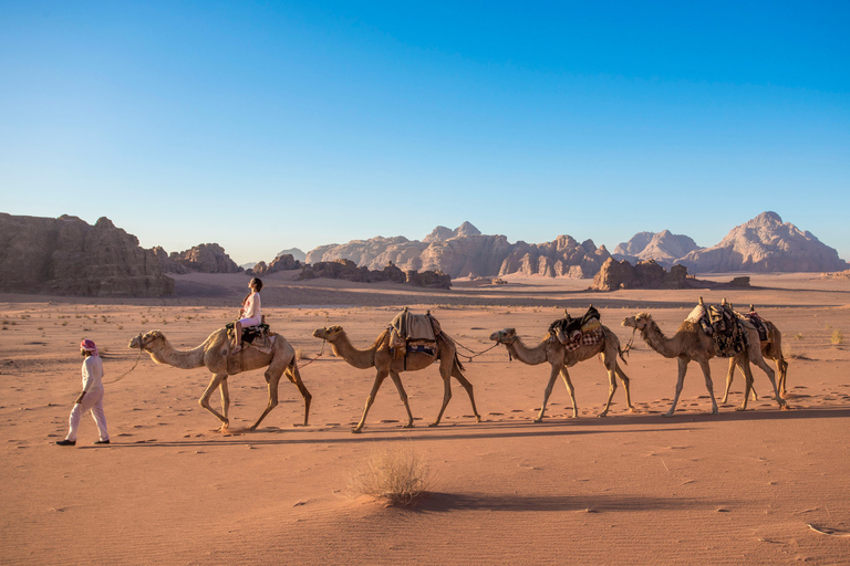 Petra, Wadi Rum & Aqaba 3D/2N Tour