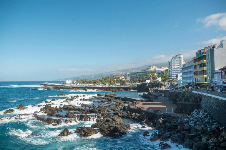 Best of Tenerife: Panoramic Shore Excursion with Port Pickup Shared Tour