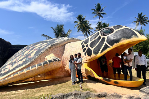 Da Colombo/Negombo: safari sul fiume Madu e allevamento di tartarugheDa Kandy: Tour in tuk tuk di Sigiriya e della roccia di Pidurangala