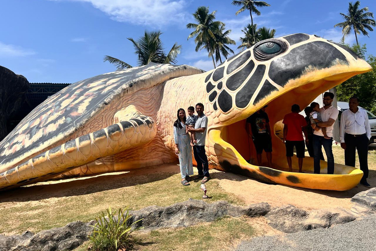 Da Colombo/Negombo: safari sul fiume Madu e allevamento di tartarugheDa Kandy: Tour in tuk tuk di Sigiriya e della roccia di Pidurangala