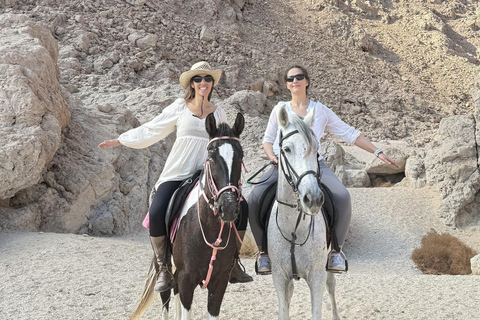Hurghada: Horse Riding in the Desert & Beach Experience 1 HR Desert Horse Riding Experience without transfer