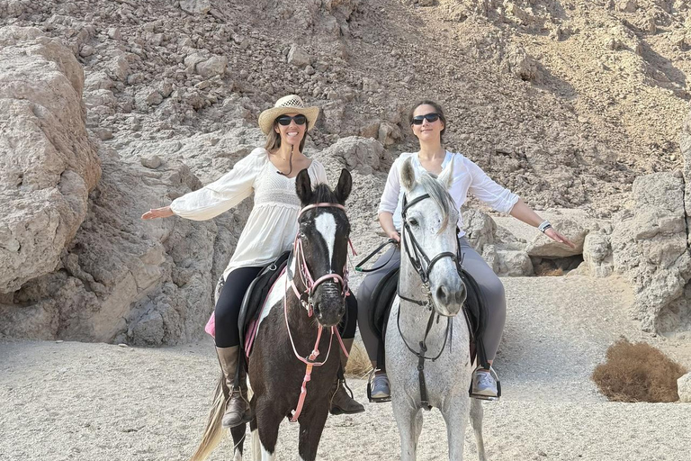 Hurghada: Horse Riding in the Desert & Beach Experience 1 HR Desert Horse Riding Experience without transfer