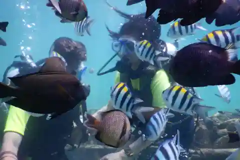 Bali: Watersport Scuba Diving Jetski Dunut Boat Exclusive