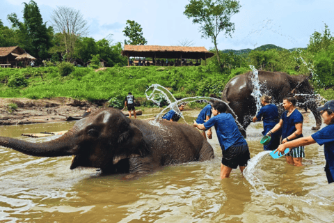 Chiang Mai: Full Day Living Green Elephant Sanctuary Chiangmai: Full Day Living Green Elephant Sanctuary