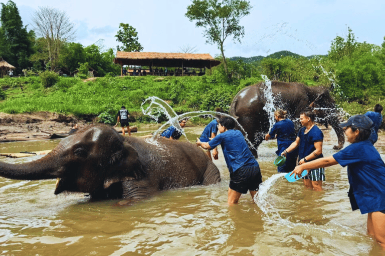 Chiang Mai: Full Day Living Green Elephant Sanctuary Chiangmai: Full Day Living Green Elephant Sanctuary