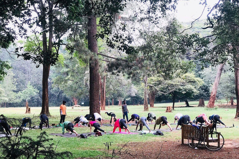 Nairobi: National Botanical Gardens & Nature walk Tour