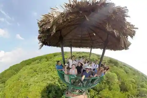 Private Can Gio Mangrove Biosphere Reserve Day Trip