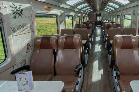 Machu Picchu Full Day (By Train)