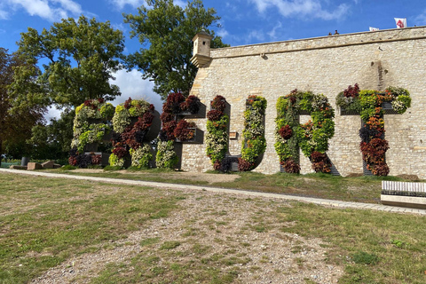 Erfurt: Guided Old Town Walking Tour with Local Insights