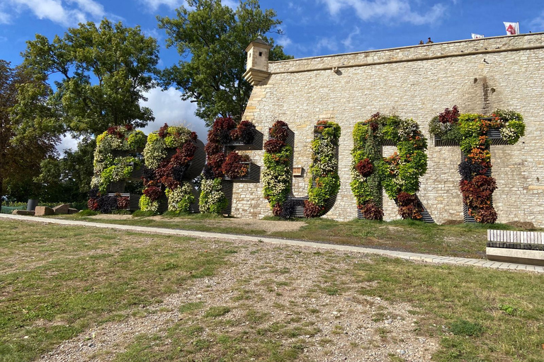 Erfurt: Guided Old Town Walking Tour with Local Insights