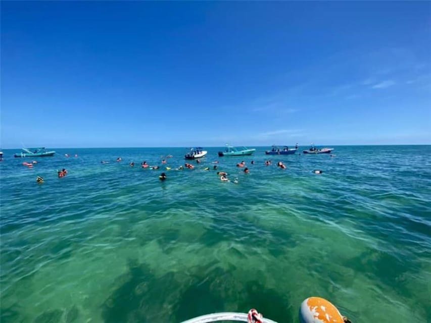 Holbox Snorkeling, Fishing, and Ceviche Tour GetYourGuide