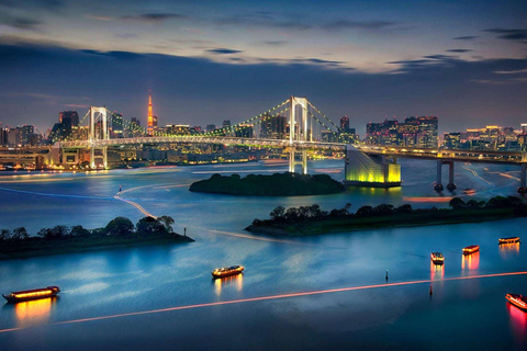 Tokyo: Private Customizable Tour with Driver-Guide