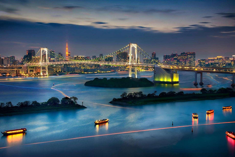 Tokyo: Private Customizable Tour with Driver-Guide
