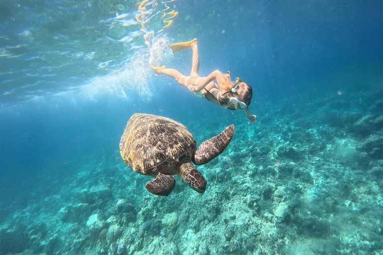 Mirissa VIP Turtles Snorkeling: Pool Training & Free GoPro