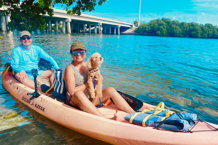 Tavernier, FL: Mangrove and Manatees Guided Kayak Eco Tour