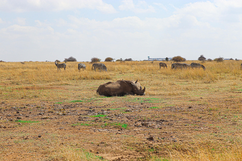 Nairobi National Park, Giraffe Center, Orpanage &amp; Bomas Trip