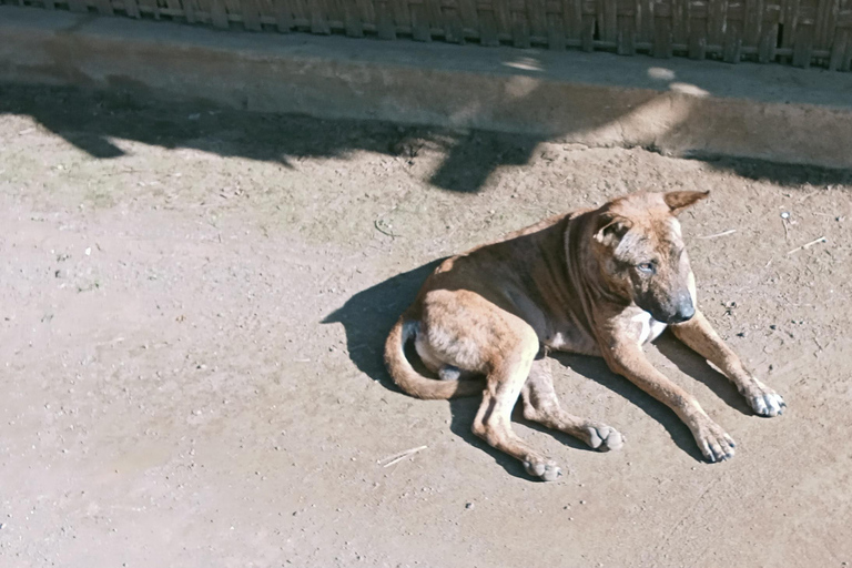 Lombok: Gili Meno Snorkeling, Waterfalls and Village Tours
