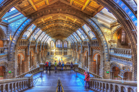 London: Natural History Museum Guided Tour