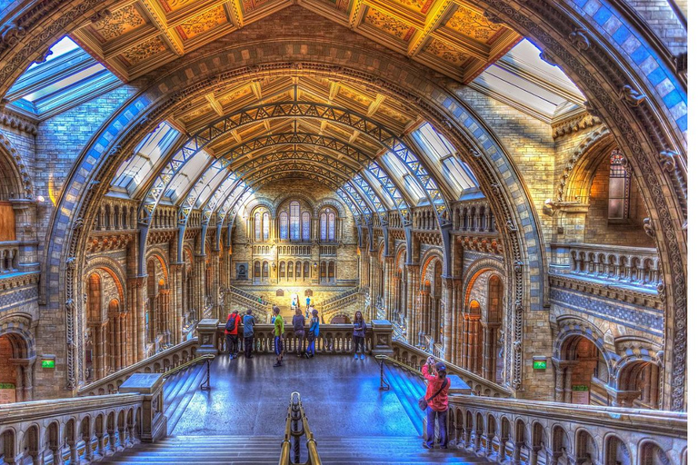 London: Natural History Museum Guided Tour