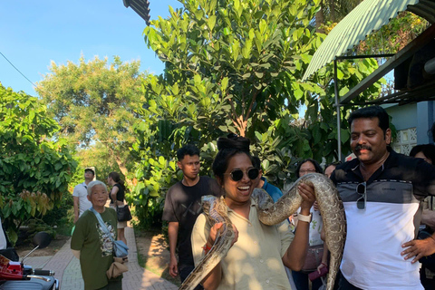 Cu Chi Tunnels and Mekong Delta Tour