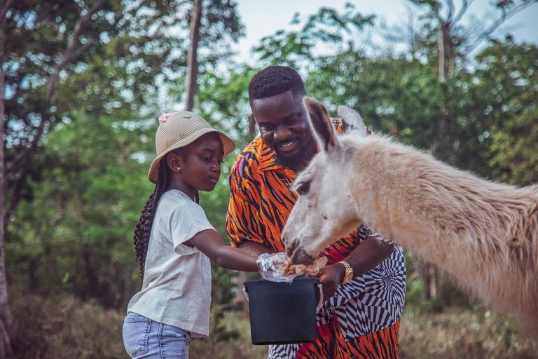 أكرا: جولة في غانا لمدة 5 أيام مع مركبات ATV وشلالات ورحلات سفاري