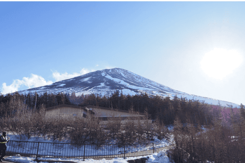 From Tokoyo - Mount FUJI Classic Highlight Joiner Day Tour - 2026