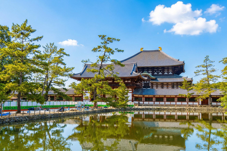 Kyoto: Private City Highlights Tour (Local Guide 6-Hour)