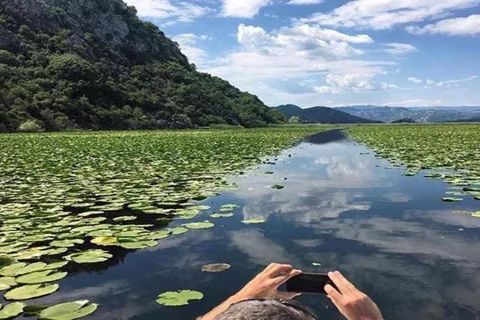 Skadar Lake: Discover the Extraordinary with Our Boat Tours